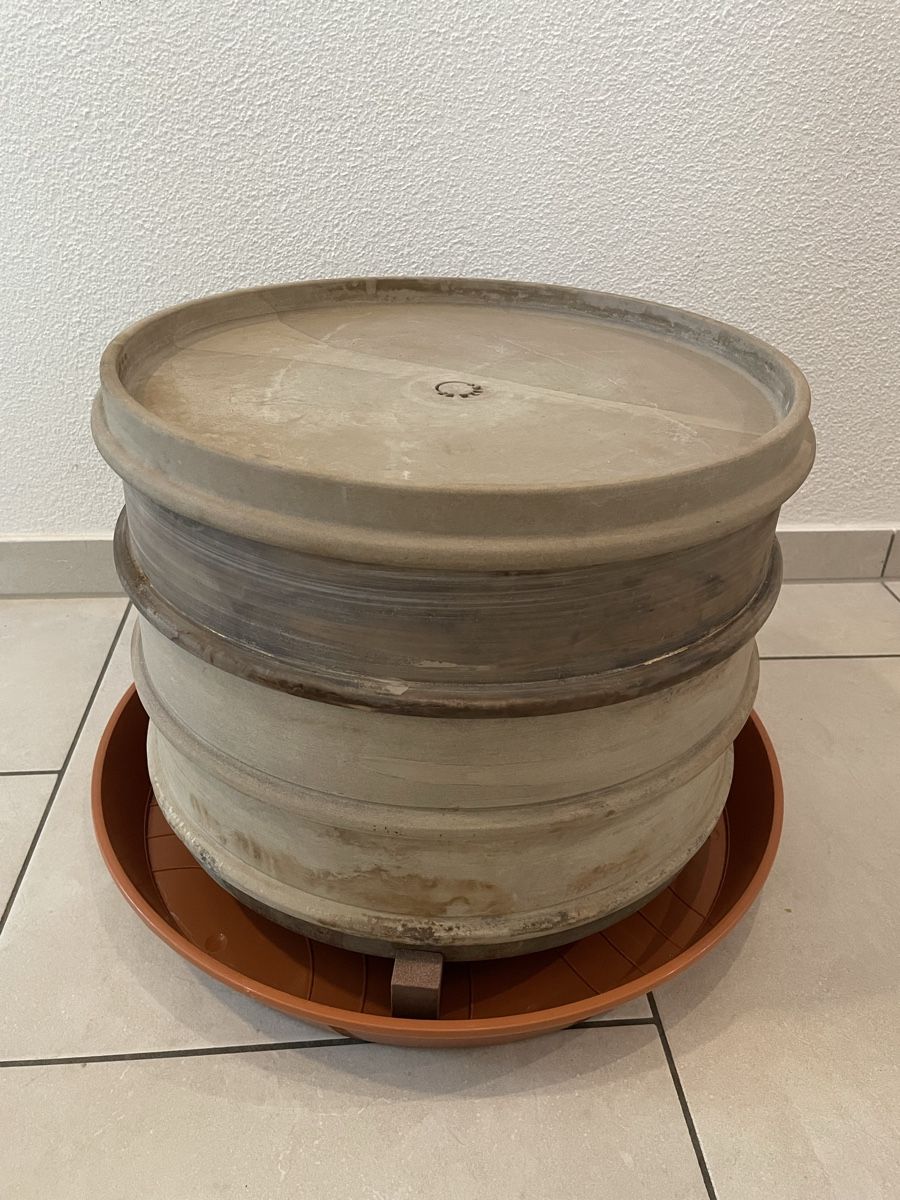 Box contenitori: WormUp Wurmkompost – Usato da Winterthur venduto da ChrigelAufRicardo