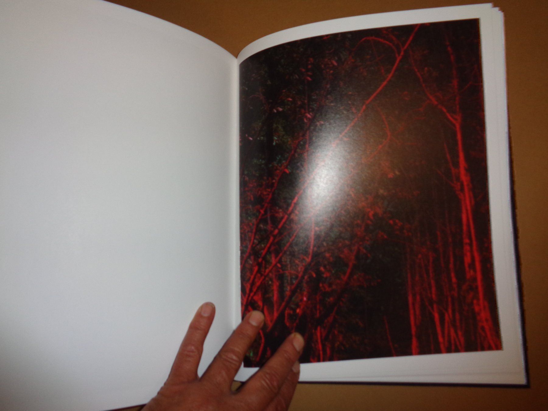 Bücher: APROXIMATE JOY Christopher Anderson foto – Gebraucht aus Welschenrohr von Regool 7