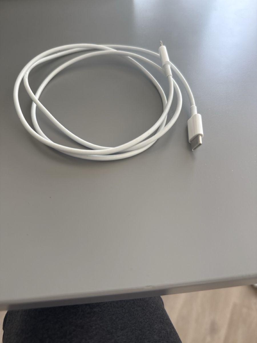 Apple Cavi: USB Kabel C – Usato da Richterswil venduto da Giova_1310 1
