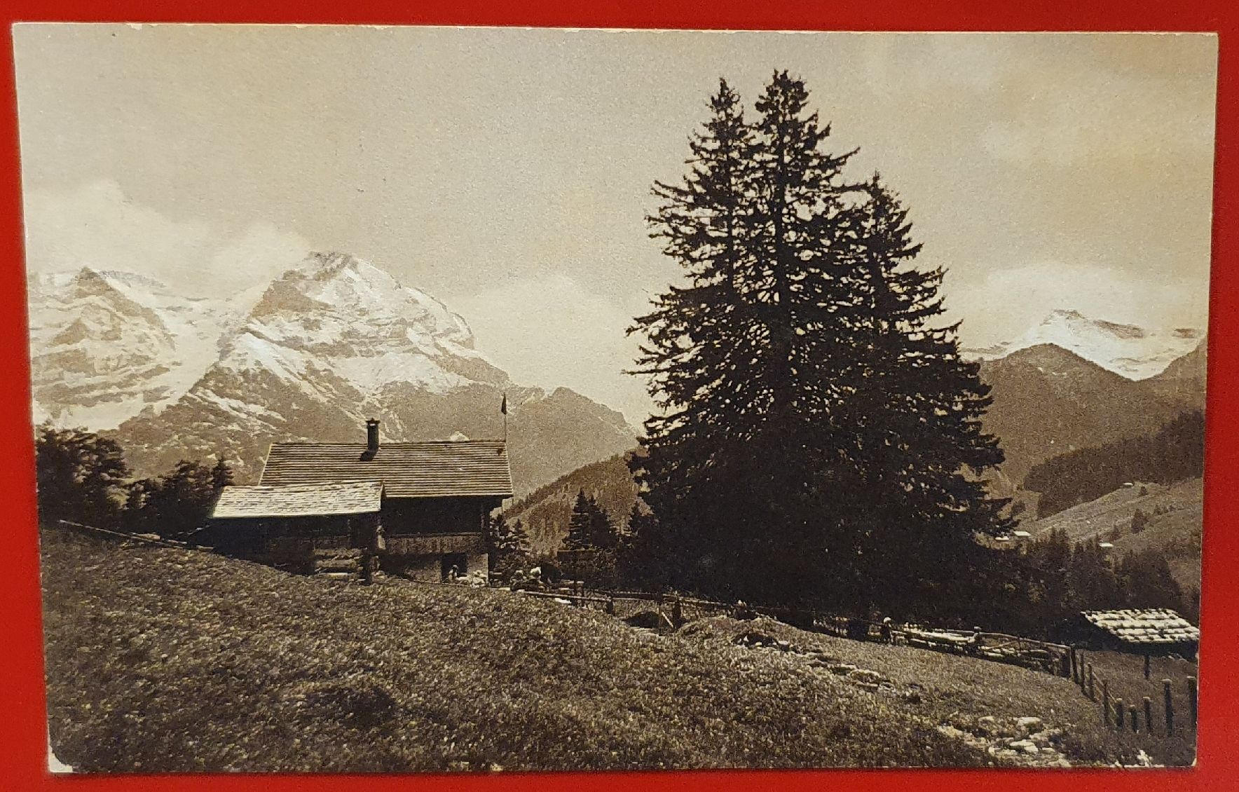 Cartoline postali: Schermtanne 1922 – Usato da Kreuzlingen venduto da Rschweiz1