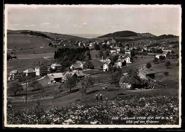 Cartoline postali: AK Stein /App., Blick auf den Bodensee – Usato da Berlin venduto da bartko-reher