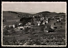 AK Stein /App., Blick auf den Bodensee