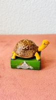 Tonie die Schule der magischen Tiere