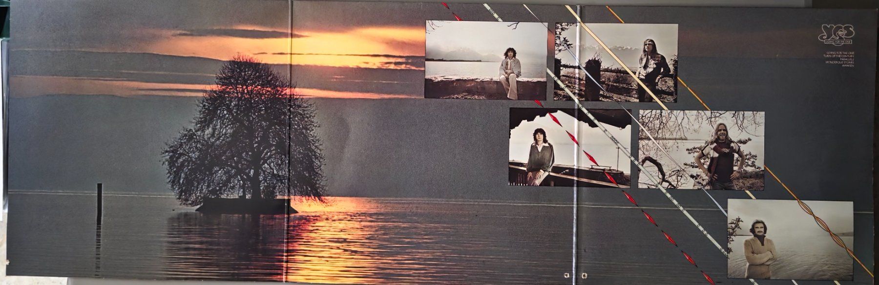Dischi in vinile: Yes LP – Going For The One – Usato da Root venduto da atelier22 1