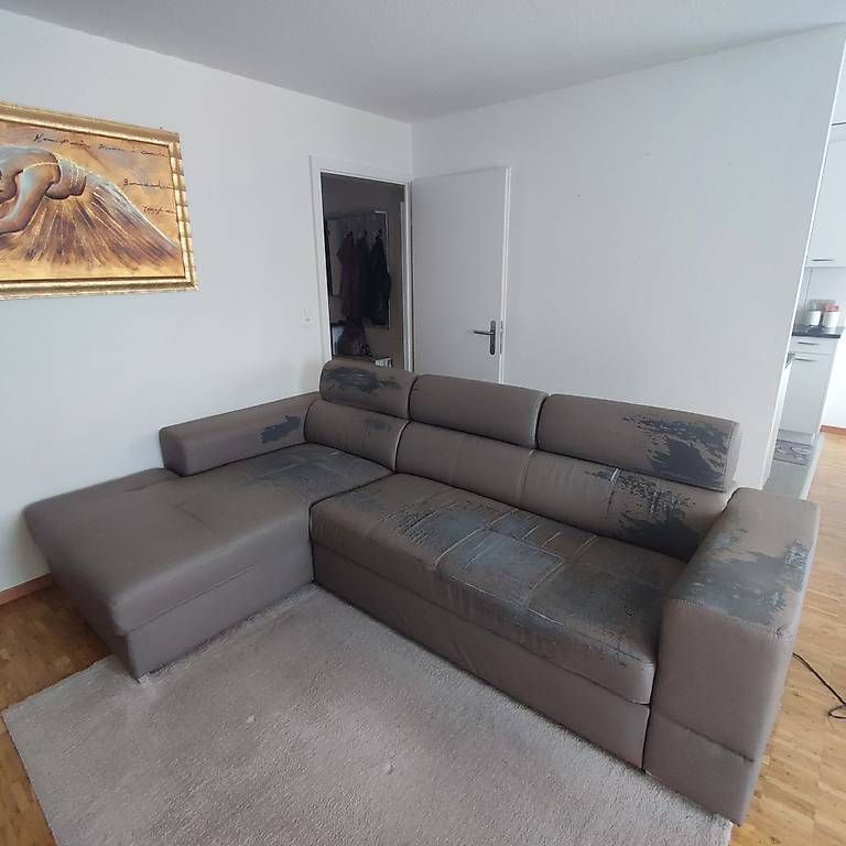 Divani: Sofa – Usato da Lenzburg venduto da alf_8gxc 1