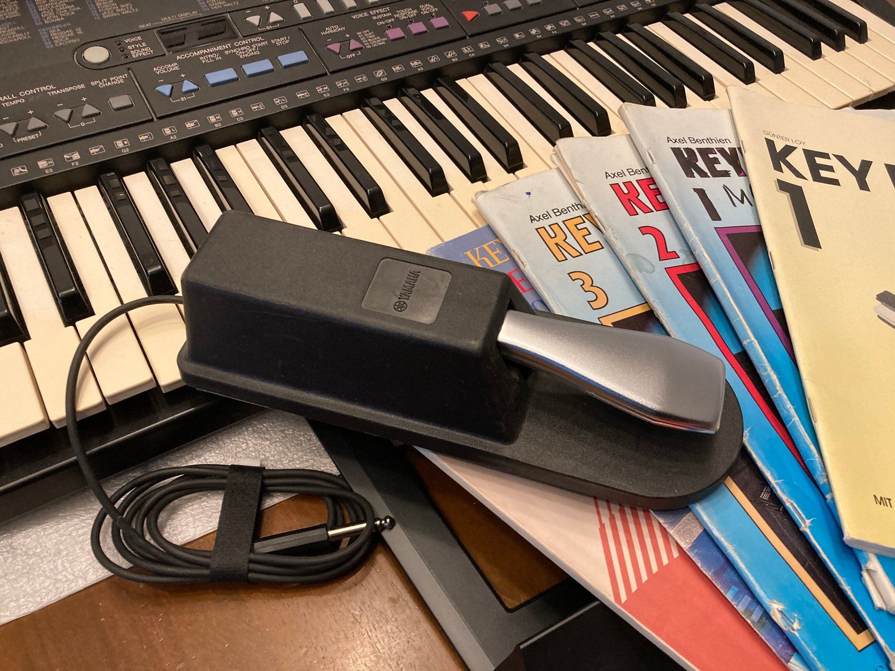 Yamaha Strumenti musicali: Keyboard Yamaha PSR-310 – Usato da Horgen venduto da Goros 4