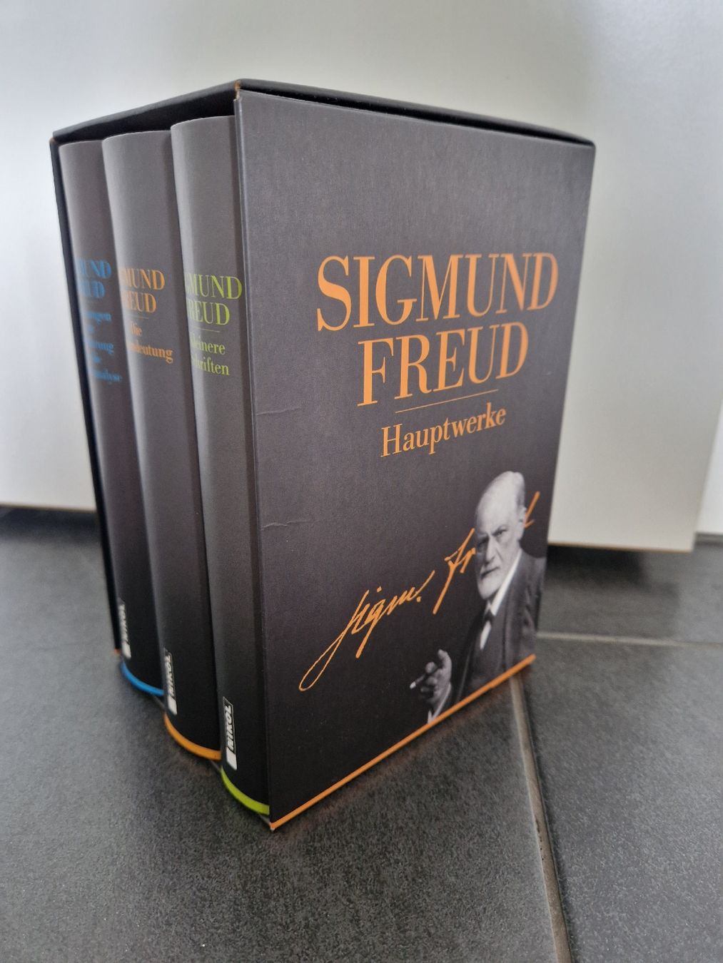 Libri: Hauptwerke Sigmund Freud – Usato da Bürglen TG venduto da ram_6ty6 1