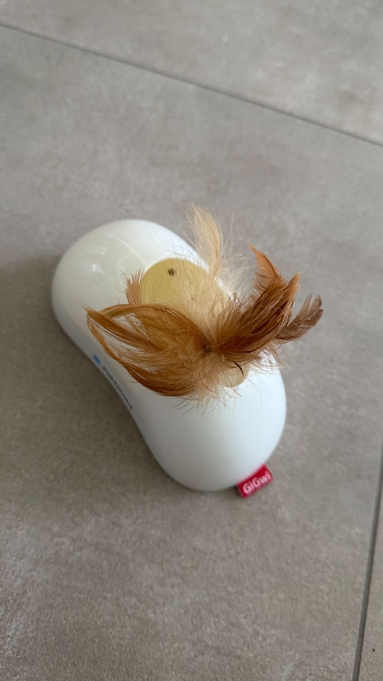 Spielzeuge: Feather Hider Pet Droid – Gebraucht aus Lugano von _tuttifrutti_ 1