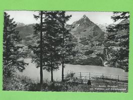 Amden, Giregärtli mit Wallensee und Mürtschenstock