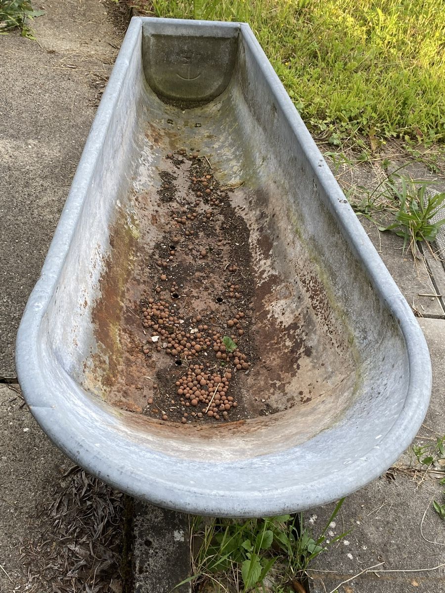 Altre Decorazioni per giardino: Zinkwanne – Usato da Gretzenbach venduto da Cantate