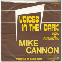 Mike Cannon - Voices in the dark ITALO DISCO 7" Vinyl 1983