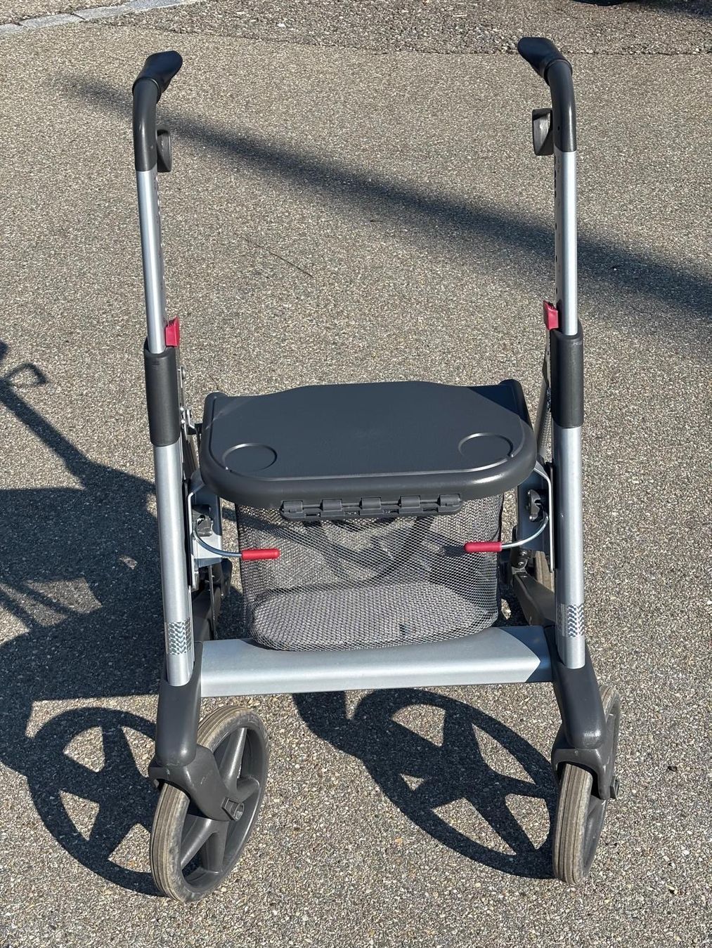 Ausili per la deambulazione: Rollator Active Walker Acces – Usato da Guntershausen b. Aadorf venduto da yvo_dx2z 3
