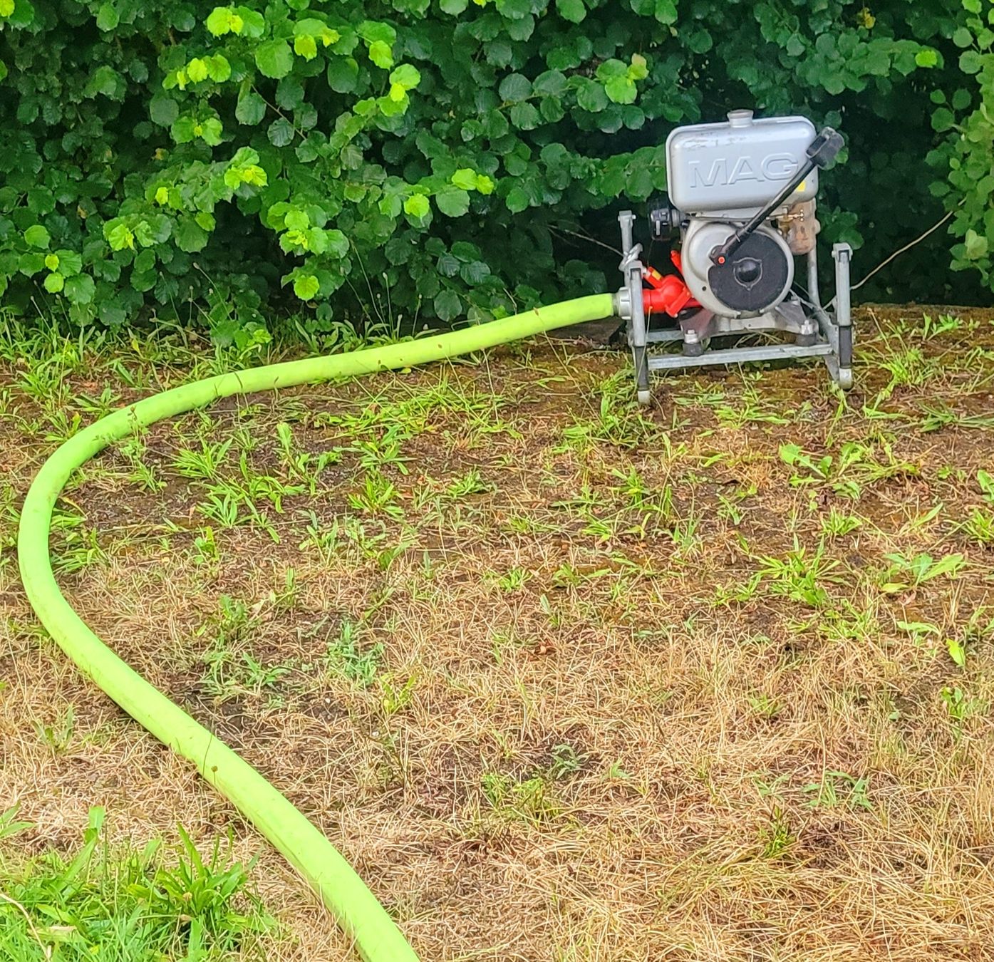Pumpen & Teile: Wasserpumpe mit Benzinmotor – Gebraucht aus Steffisburg von Gismo49 3