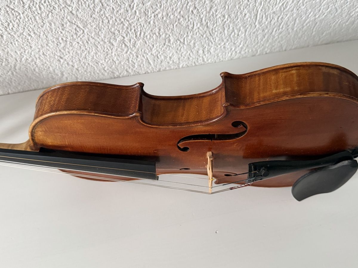 Strumenti musicali: Violon Allemand 4/4 – Usato da bassecourt venduto da LiN2004 6