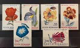 Rumänien 1971 - Serie Blumen Komplett