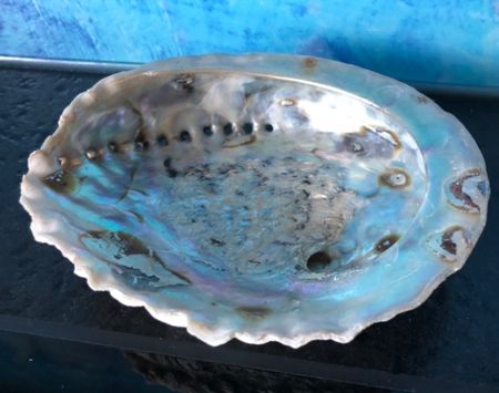 Abalone Shell Muschel Pauna Gartendeko Badezimmer Neuseeland