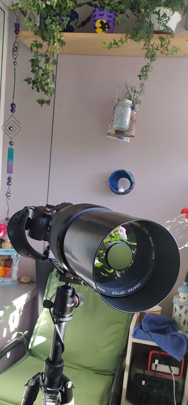 Nikon Objectifs: Meade Objektiv 1000mmm Nikon Anschluss – D'occasion à Thun par Rado-17