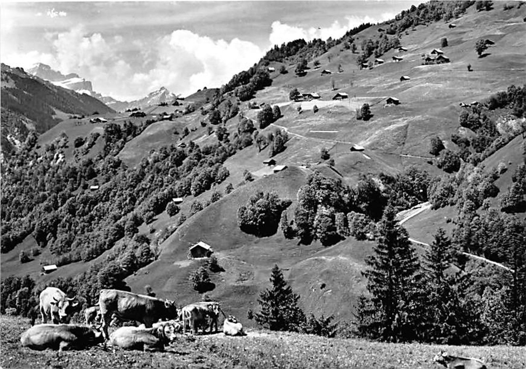 Ansichtskarten: Matt, Weissenberge ob Matt – Gebraucht aus Ottikon b.Kemptth. von Neptun1974