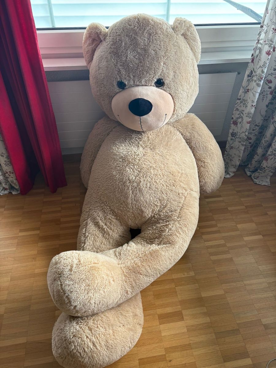 Migros Spielzeuge: Grosser Teddybär/Plüschbär/Plüschtier – Gebraucht aus Horw von enia9781