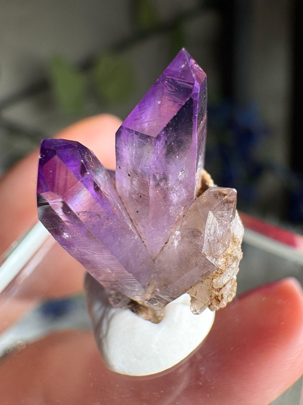 Pietre preziose: Veracruz Amethyst – Nuovo (secondo la descrizione) da Neuheim venduto da m.hald