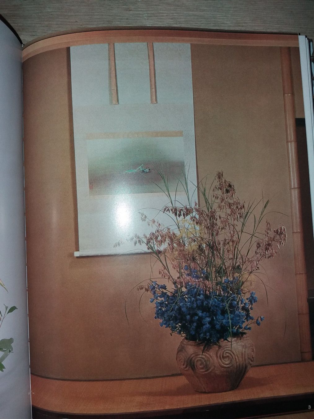 Libri: FASZINATION Ikebana japan – Usato da Welschenrohr venduto da Regool 4