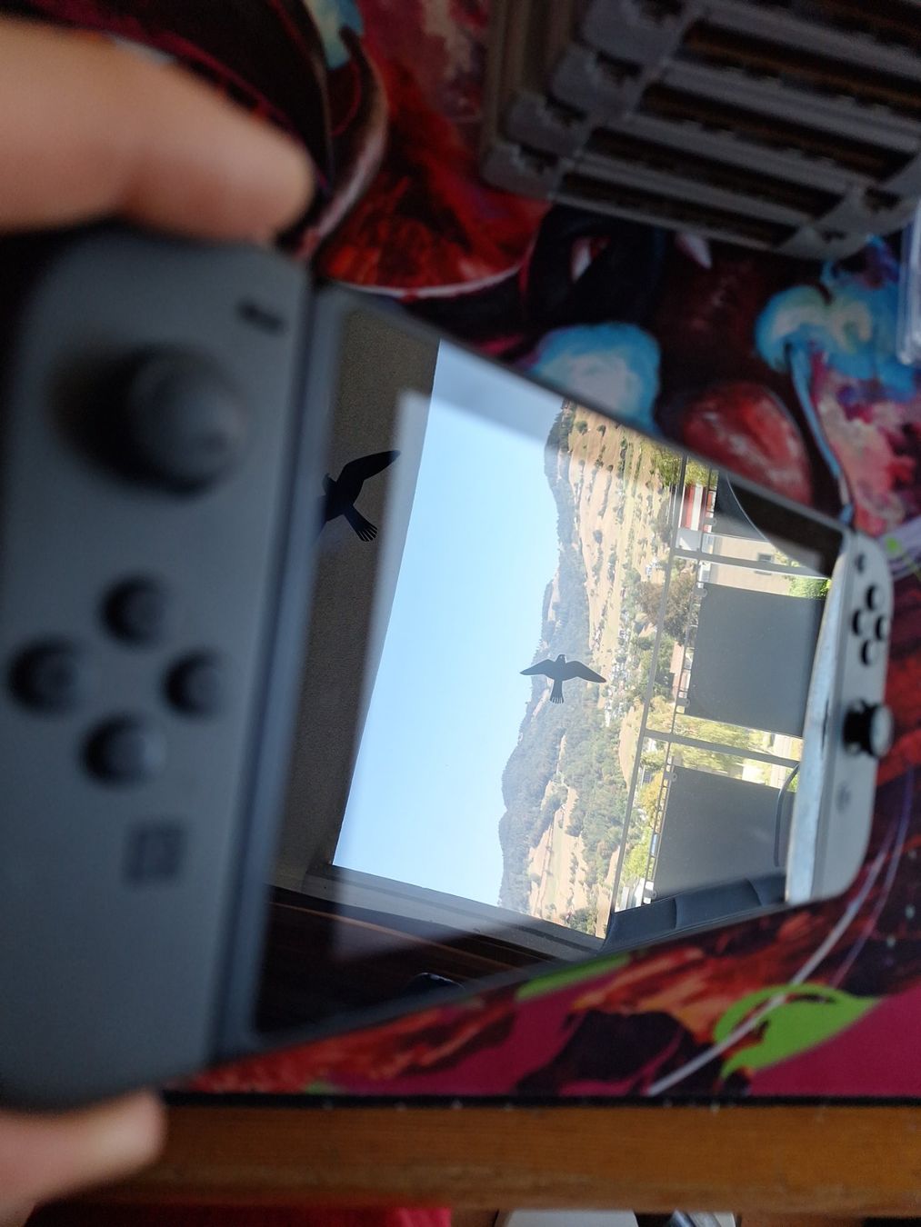Nintendo Console: Nintendo Switch Konsole - Grau mit Zubehör – Usato da Altstätten SG venduto da GGsGameshop 2