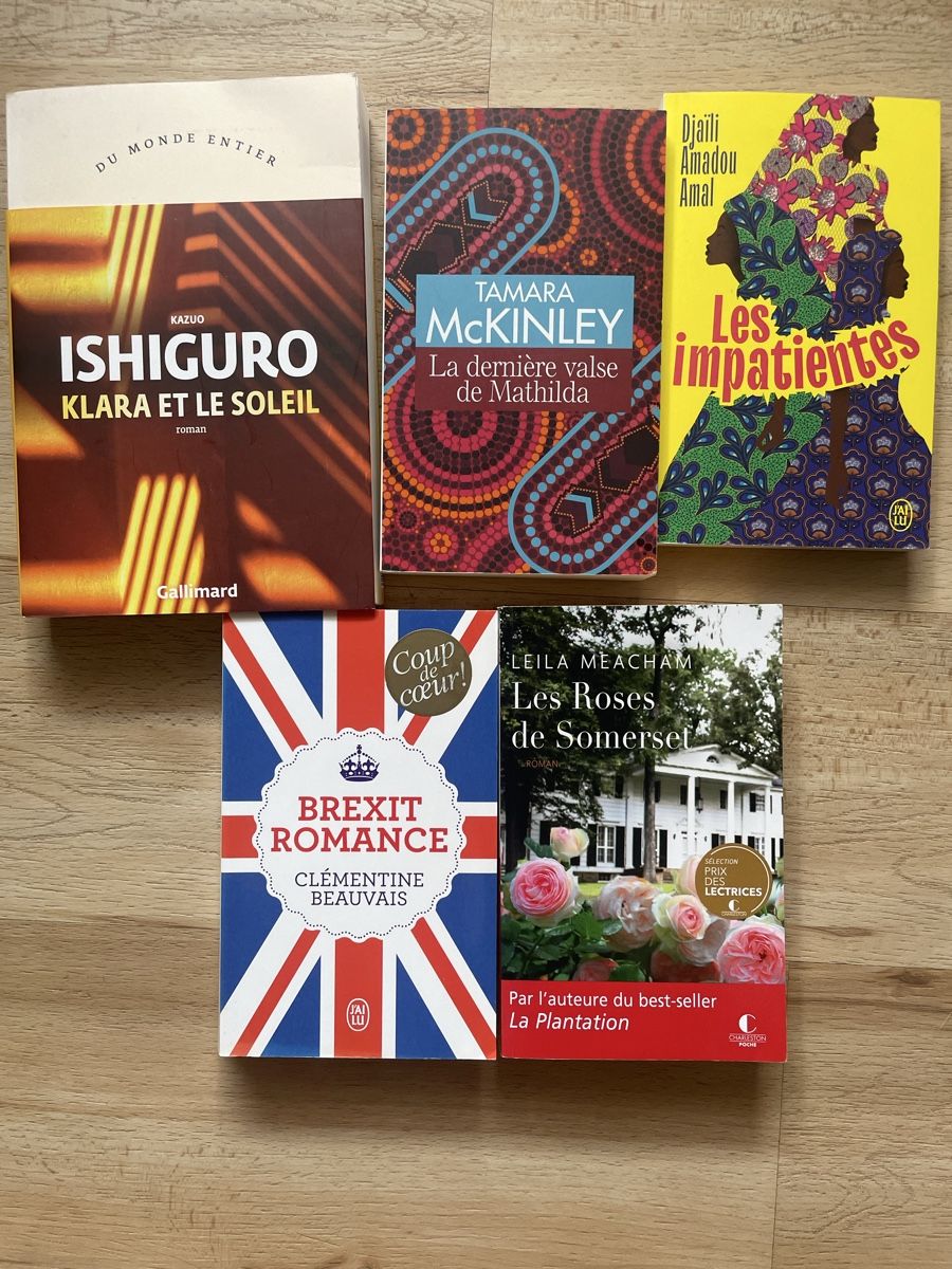 Libri: Lot 5 livres = 5 continents – Usato da Crissier venduto da Nouchki76