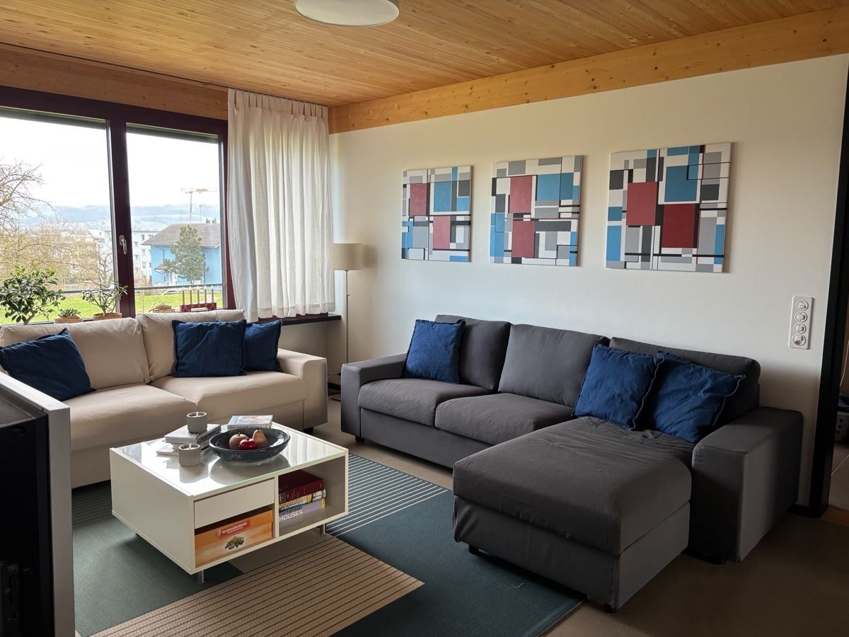 Ikea Sofas: IKEA couch CHF 200  | Urgently selling due to moving – Gebraucht aus Cham von helike