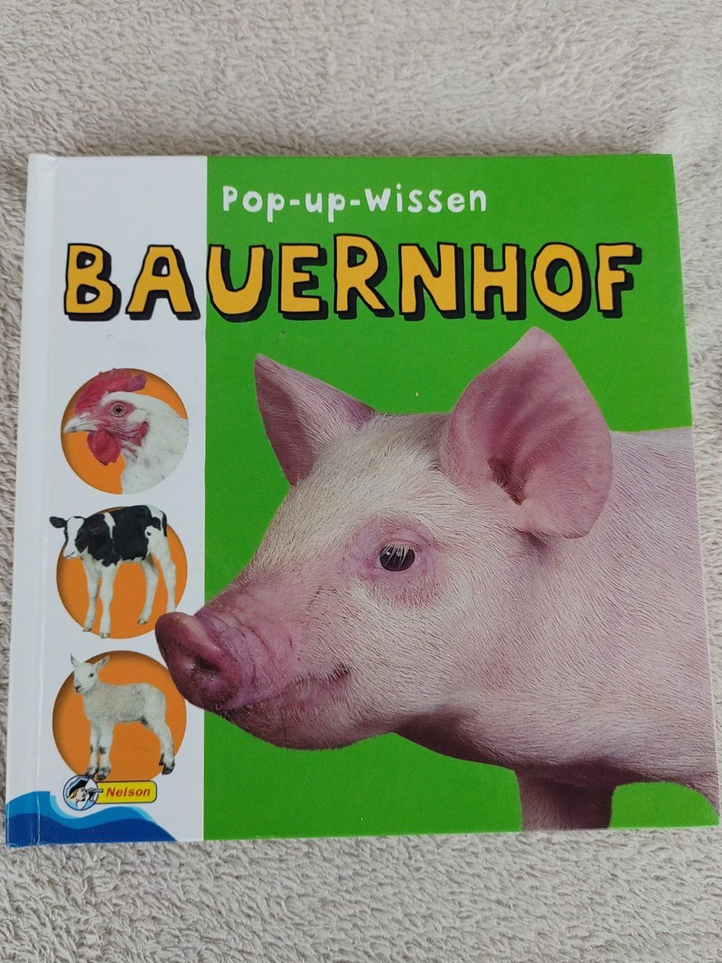 Libri: Pop-Up Wissen Bauernhof – Usato da Strengelbach venduto da Phorensic_30