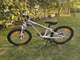 Specialized Hotrock Kinderbike 20 Zoll