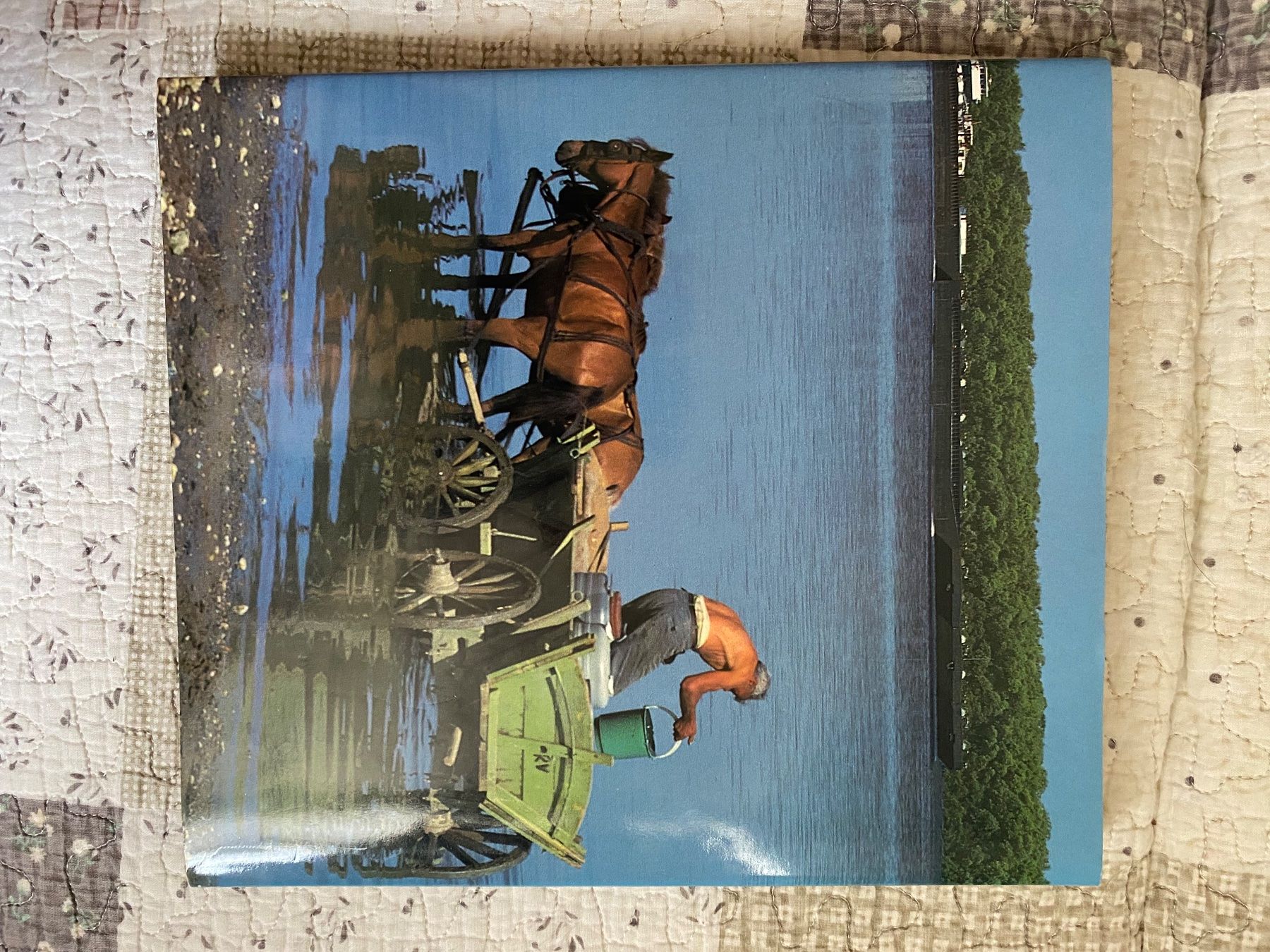 Bücher: Die Donau – Gebraucht aus Gretzenbach von Cantate