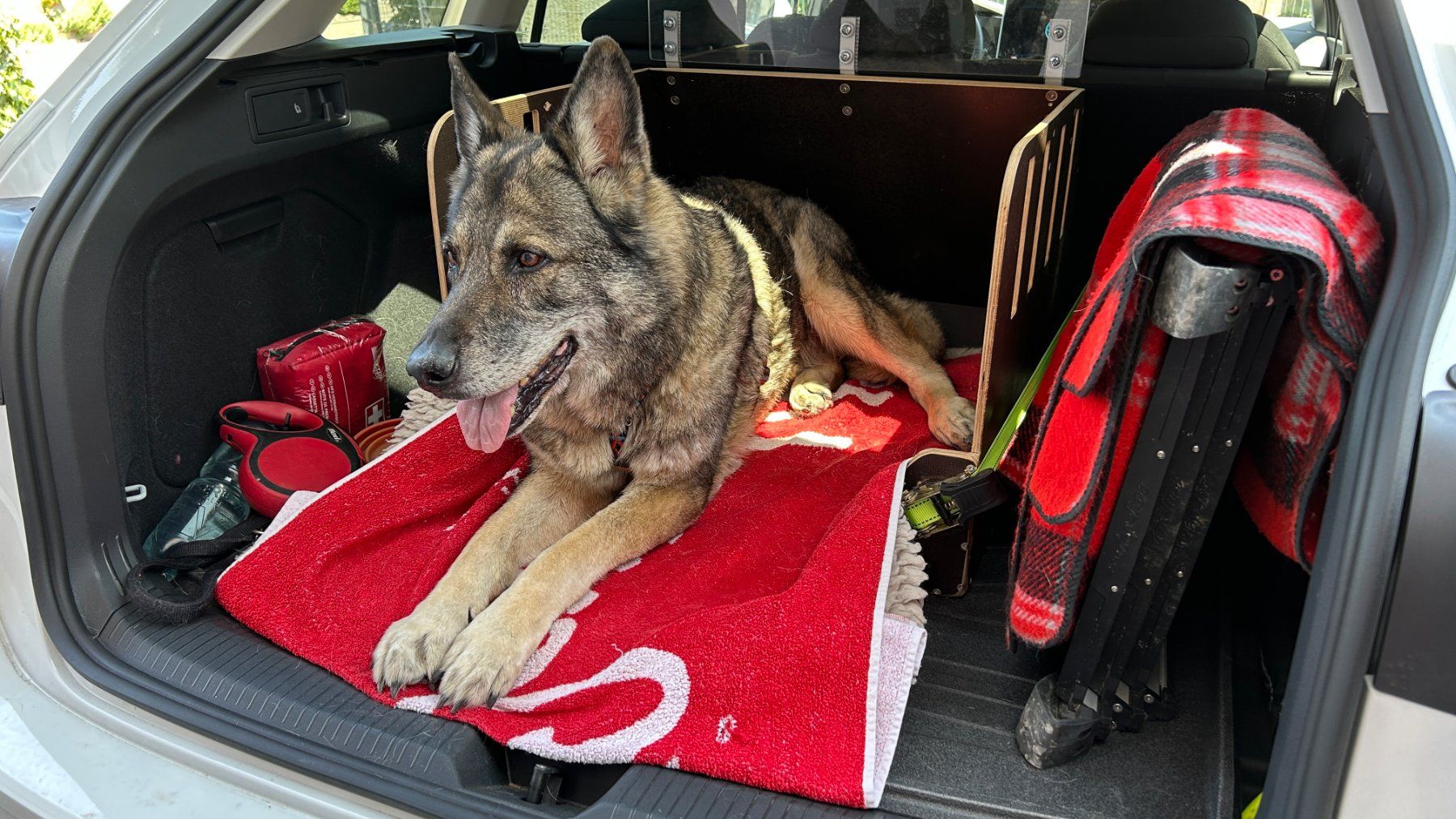 Gabbie, trasporto & Sicurezza: Hunde-Box für das Auto – Usato da Freidorf TG venduto da brunopopp
