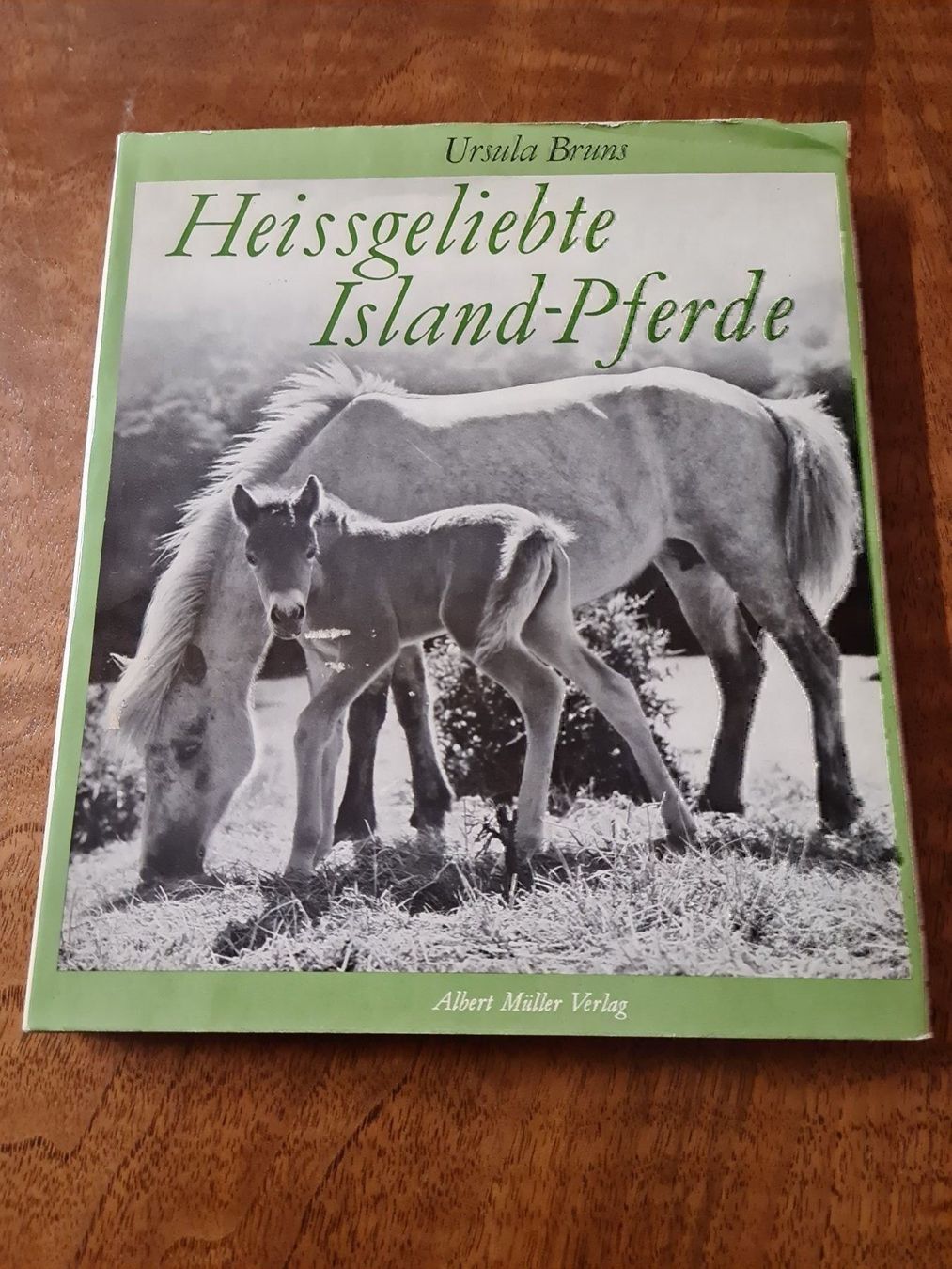 Libri: Heissgeliebte Island-Pferde – Usato da Erstfeld venduto da Uhu1980