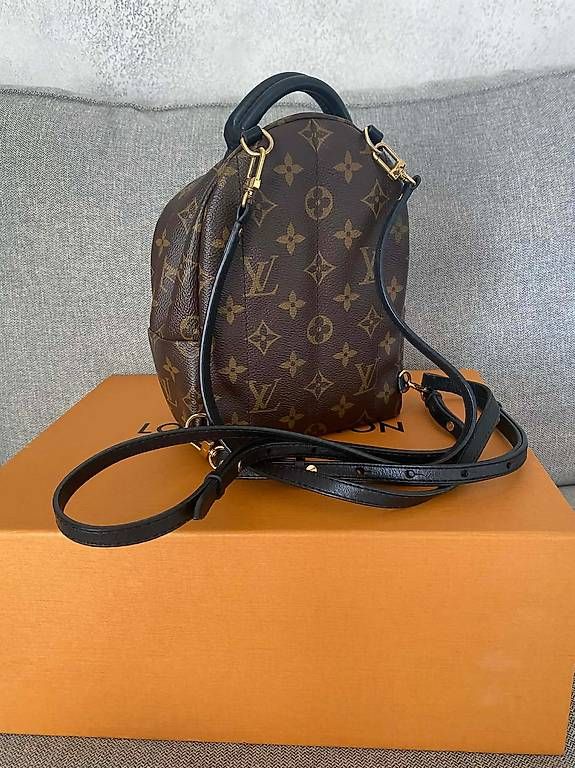 Zaini: Louis Vuitton Palm Springs Mini Backpack – Usato da Frauenfeld venduto da pau_77qk 3
