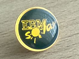 Pin EBM Solar