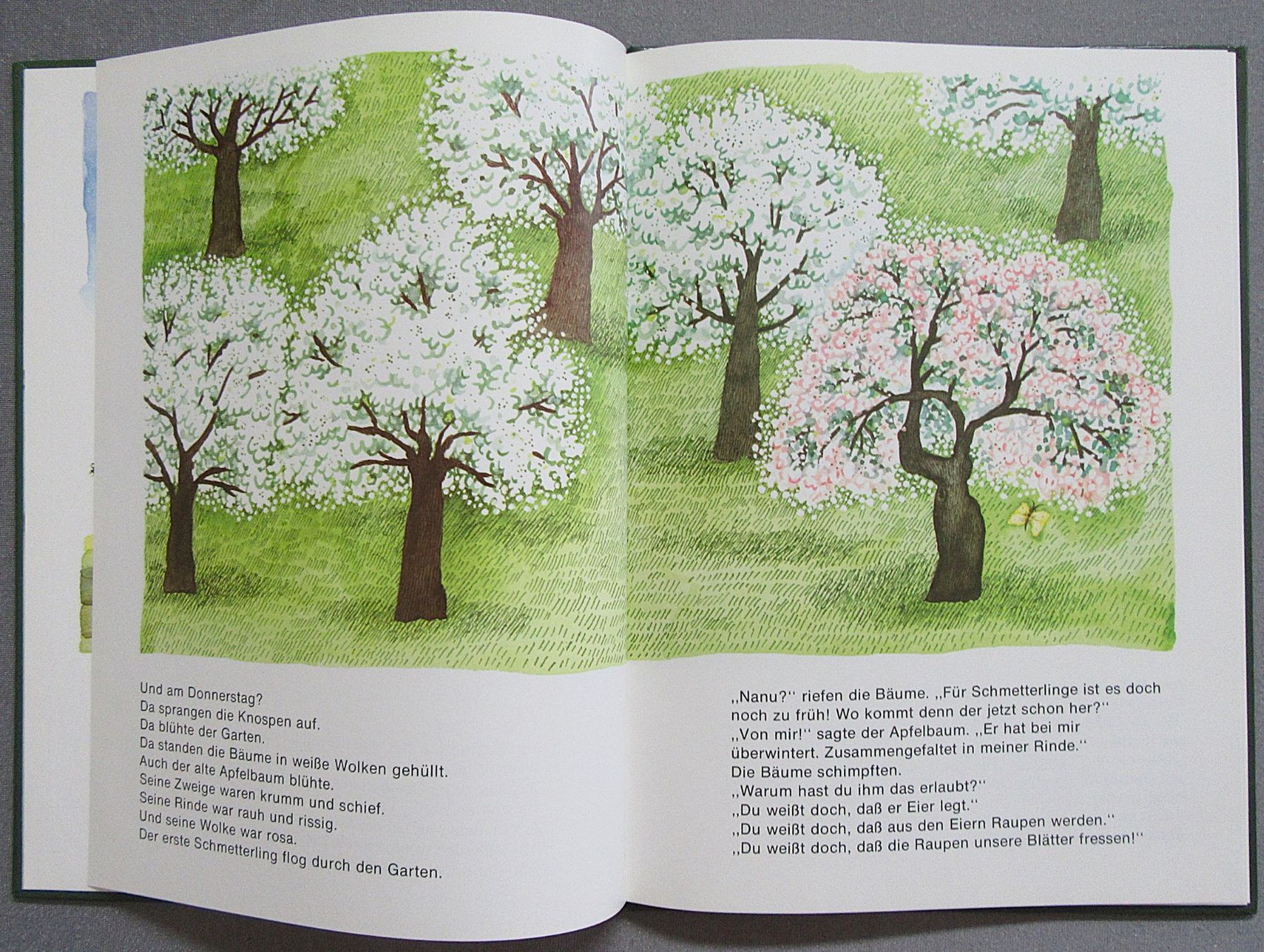 Livres: Der Apfelbaum - Bilderbuch ab CHF 1.00 – D'occasion à Auenstein par Padabimbim 1