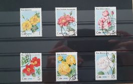 Briefmarken Lot Rosen Kuba, 1979