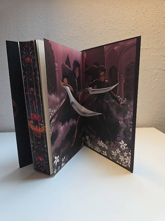 Bücher: Fairyloot: For she is wrath – Neu (gemäss Beschreibung) aus Schlatt TG von severine99 2