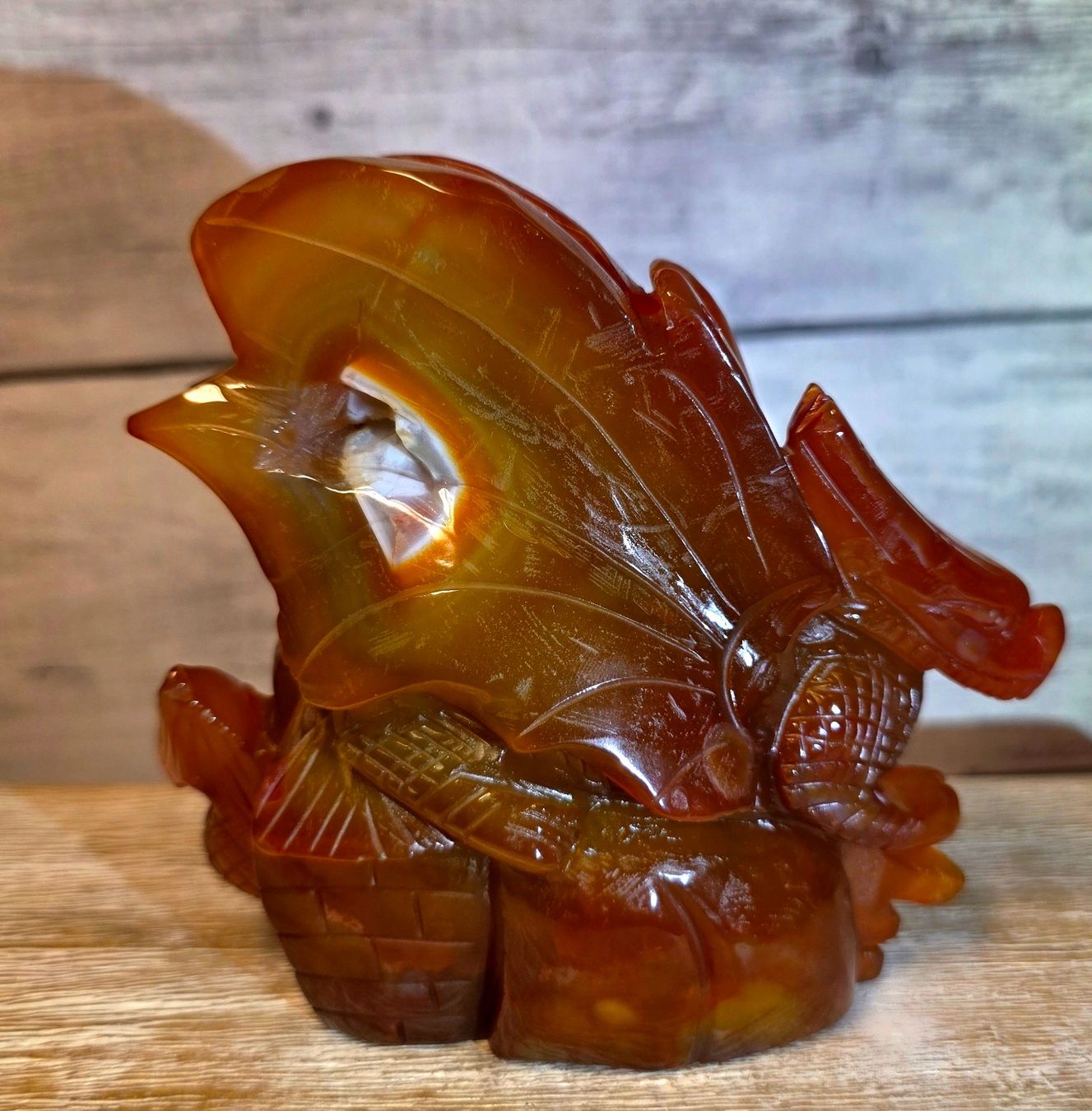 Minerali & Pietre curative: Top Karneol Drache 850g – Nuovo e nell'imballaggio originale da Matzingen venduto da Shay_Crystalz 2