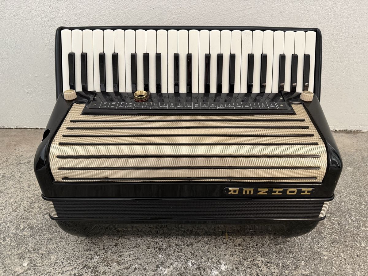 Strumenti musicali: Elektronium mit Röhrenverstärker – Difettoso da Herrliberg venduto da Bio3 3