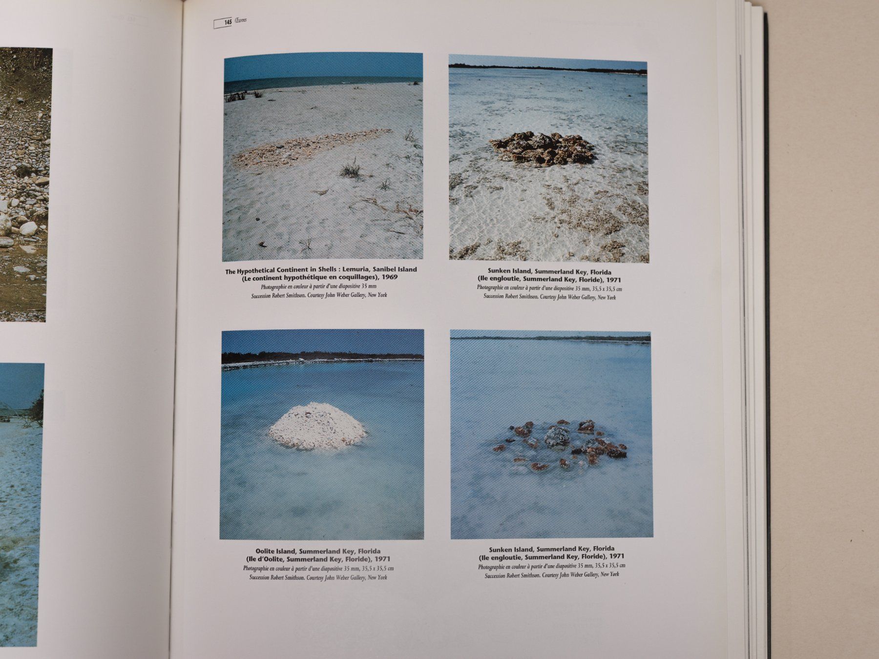 Libri: ROBERT SMITHSON - LE PAYSAGE ENTROPIQUE – Usato da Zürich venduto da 000rk 2