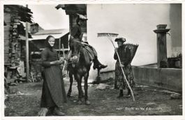 Val d'Anniviers  VS  -   Paysannes et mulet - Etude  en 1951