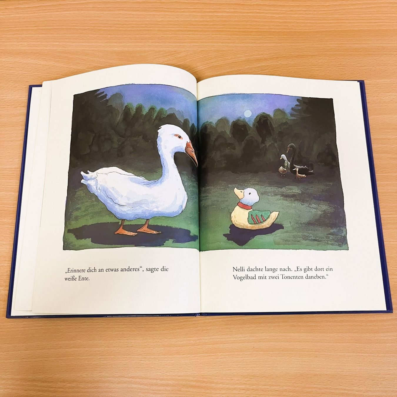Libri: Kinderbuch - Bilderbuch - Nellis Nest – Usato da Amlikon-Bissegg venduto da allerlei-versand 2