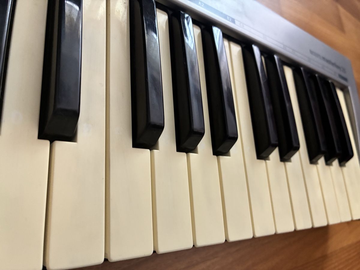 Musikinstrumente: Acorn Masterkey 25 USB MIDI Controller – Gebraucht aus Zürich von Brodiea 3