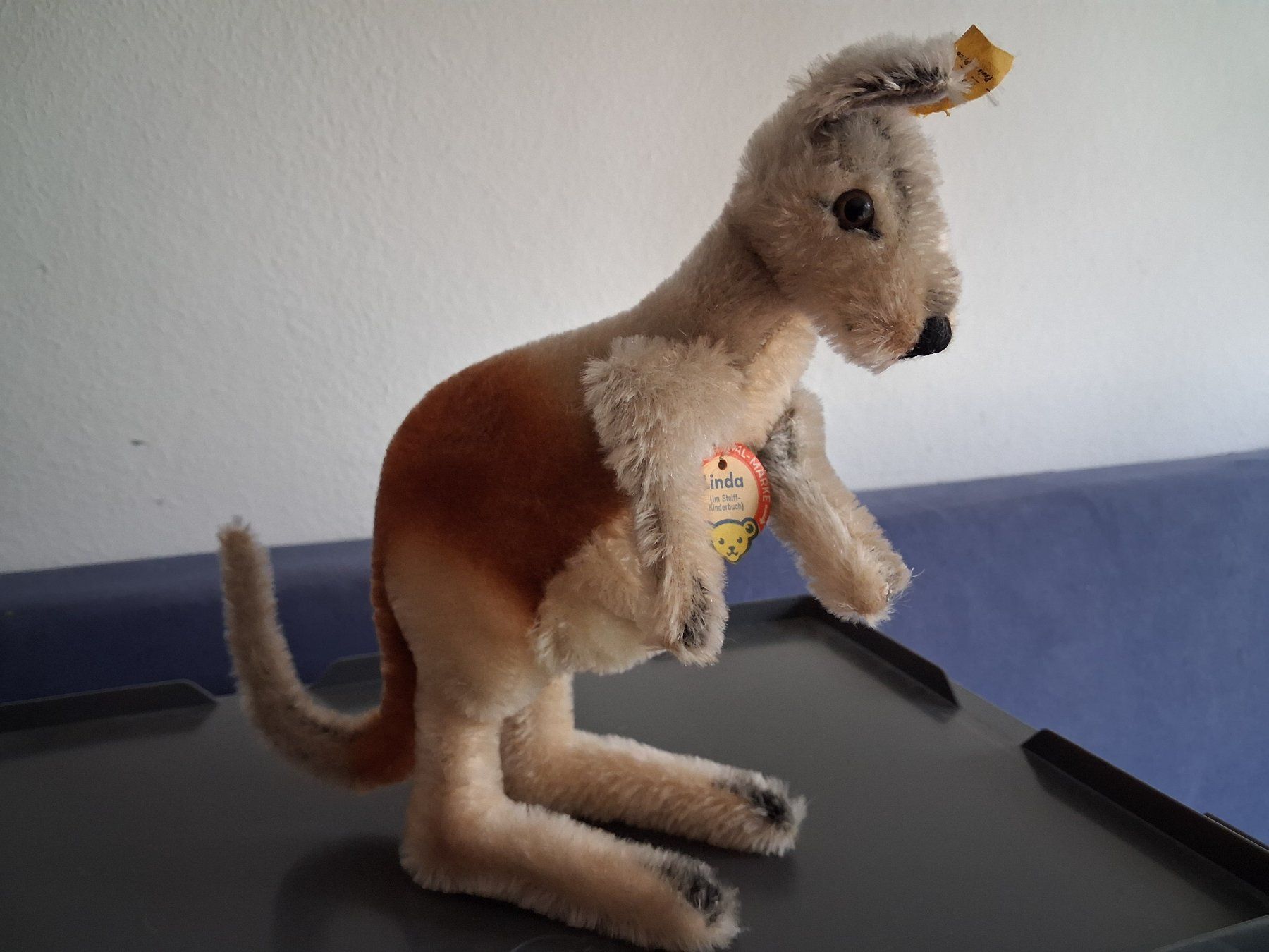 Steiff Giocattoli: Steiff Känguru Linda – Usato da Zürich venduto da rald 5