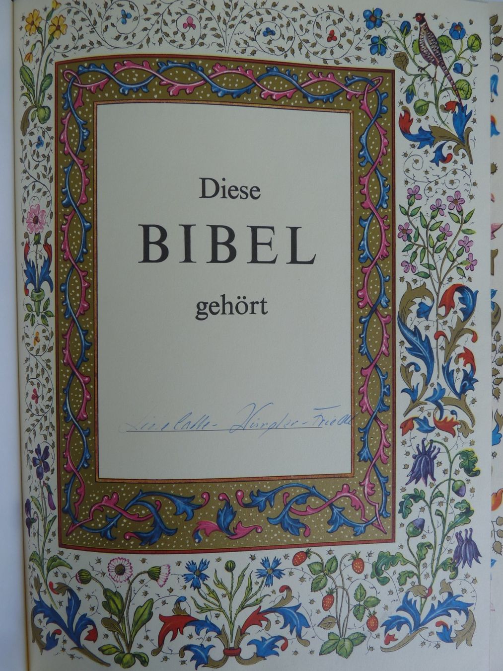 Libri: Bibel "Die heilige Schrift" – Usato da Küsnacht ZH venduto da zoliboli01 4