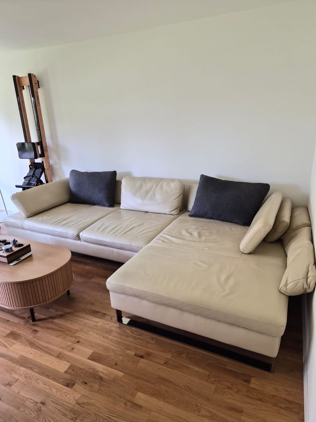 Divani: Leder Sofa von designwerk – Usato da Hergiswil NW venduto da kaj_f568