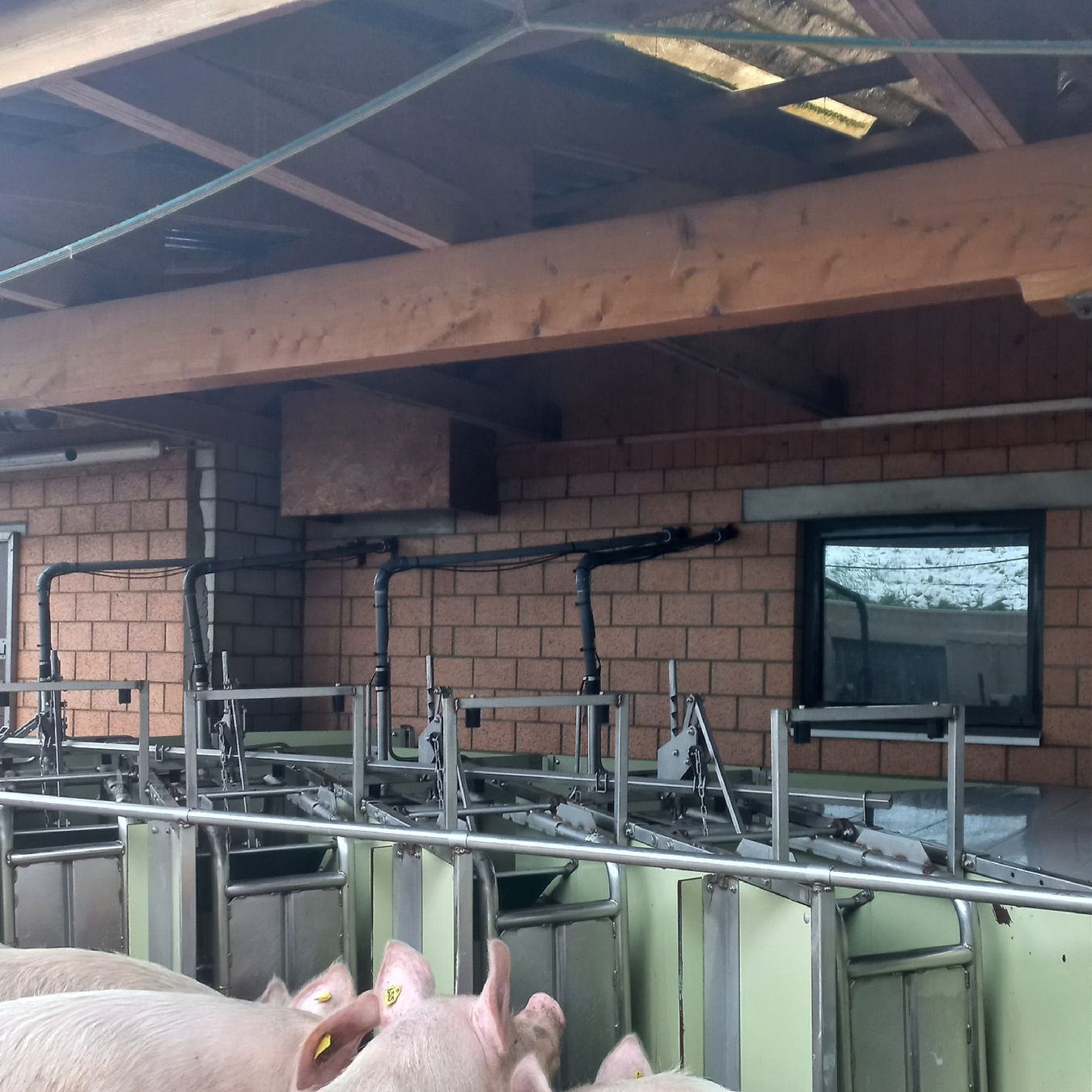 Alle Maschinen: Abruffütterung – Gebraucht aus Malters von dar_z8km 2