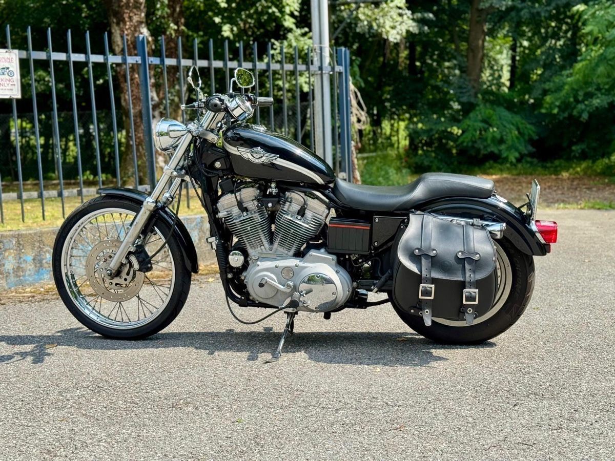 Altro: Harley Davidson XL 883 / 100 Anniversary Modell – Usato da Rheinfelden venduto da one7one9