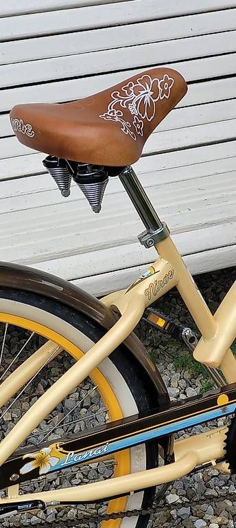 Biciclette: Velo Beach Cruiser neuwertig  – Usato da Gränichen venduto da schmetterling1280